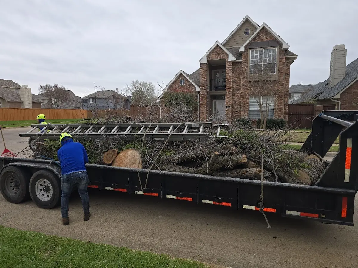 Expert Tree Fertilization with proper safety equipment in Eidson